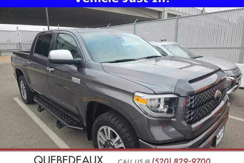 2020 Toyota Tundra Platinum Grade photo 1