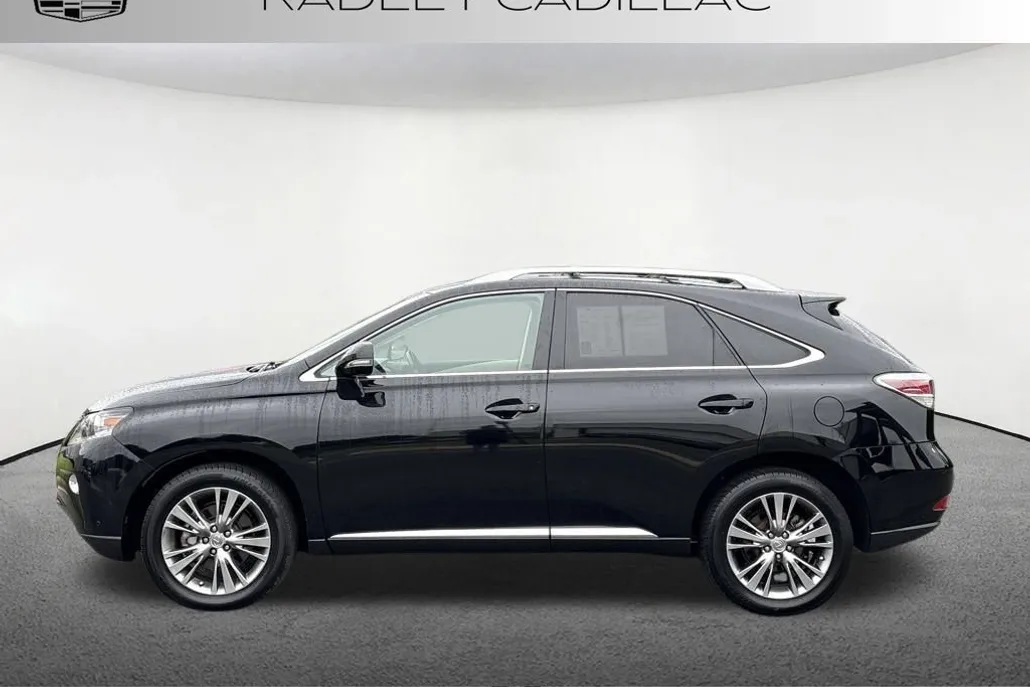 2014 Lexus RX 350 photo 1