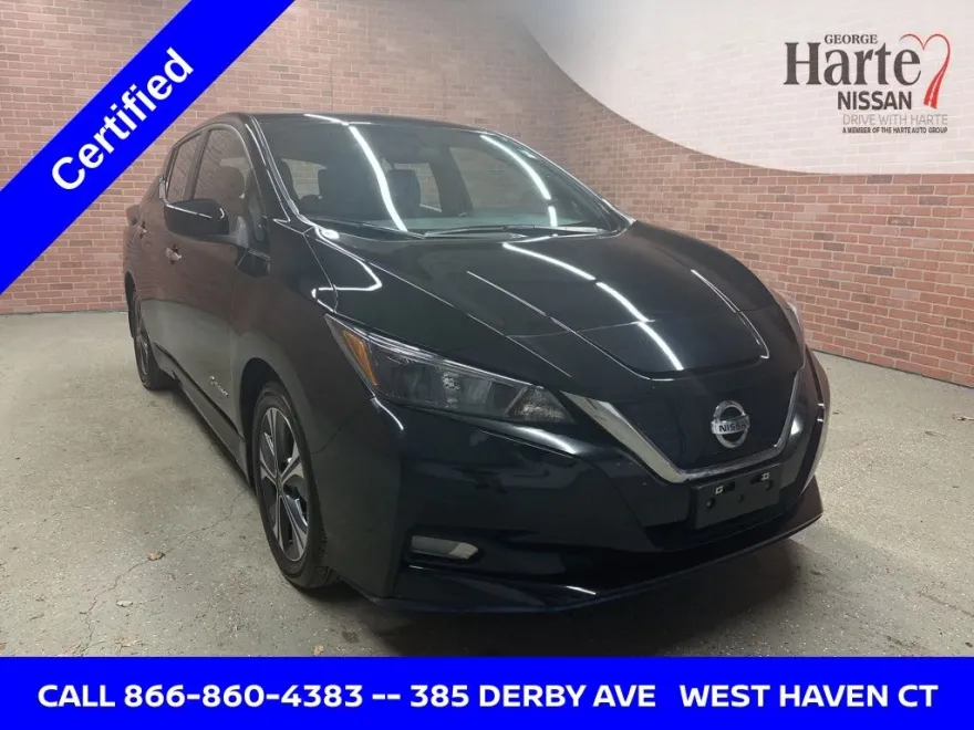 2019 Nissan Leaf SV Plus photo 1