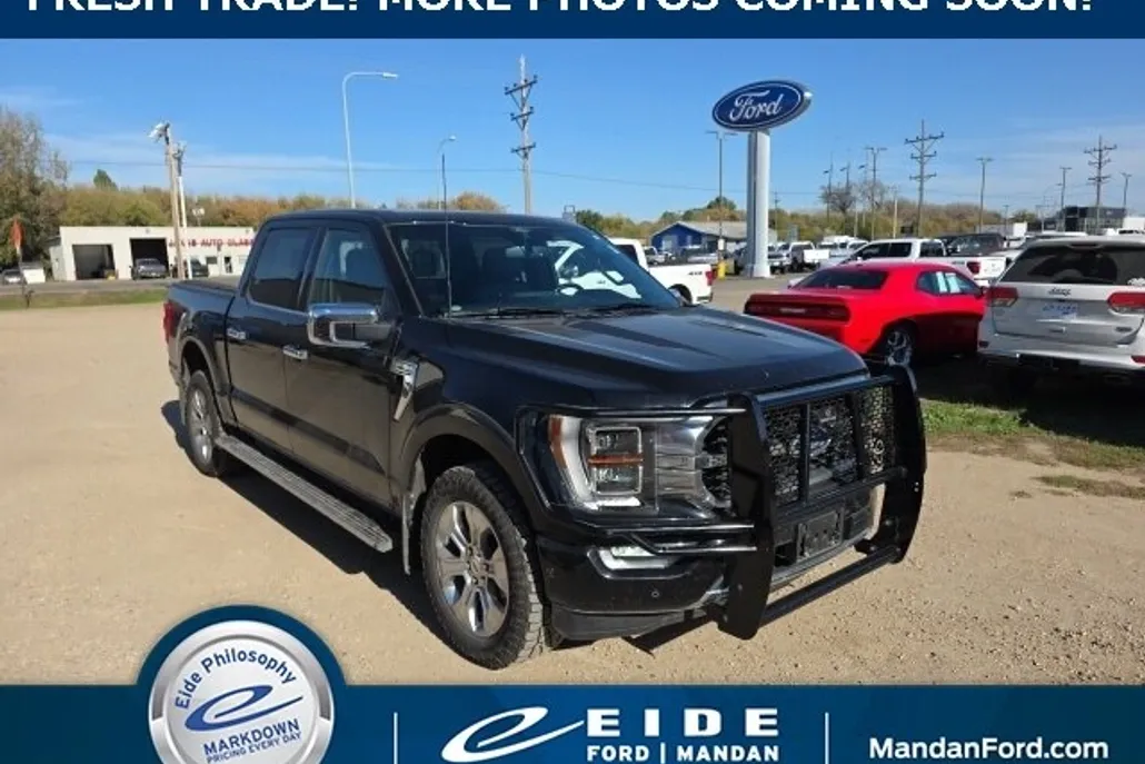 2022 Ford F-150 Platinum photo 1