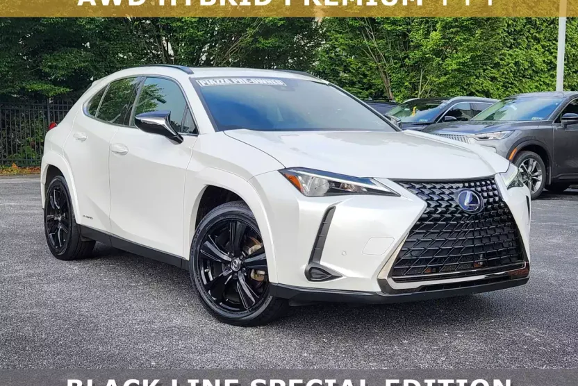 2021 Lexus UX 250h photo 1