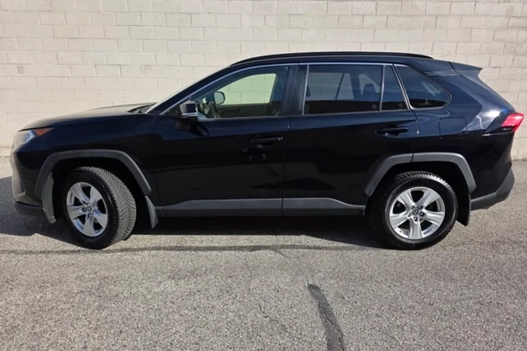2019 Toyota RAV4 XLE photo 1