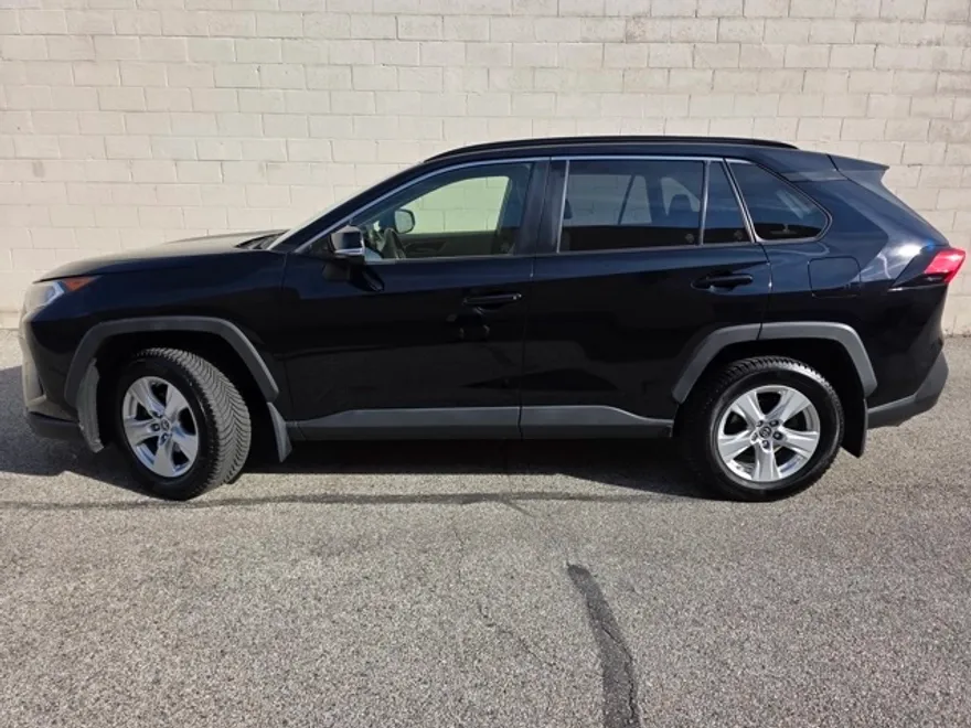 2019 Toyota RAV4 XLE photo 1