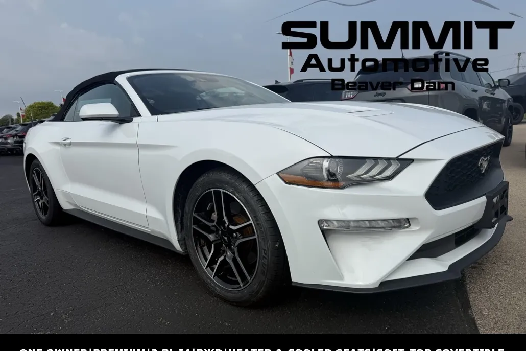 2023 Ford Mustang EcoBoost Premium photo 1