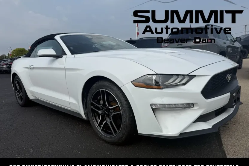 2023 Ford Mustang EcoBoost Premium photo 1