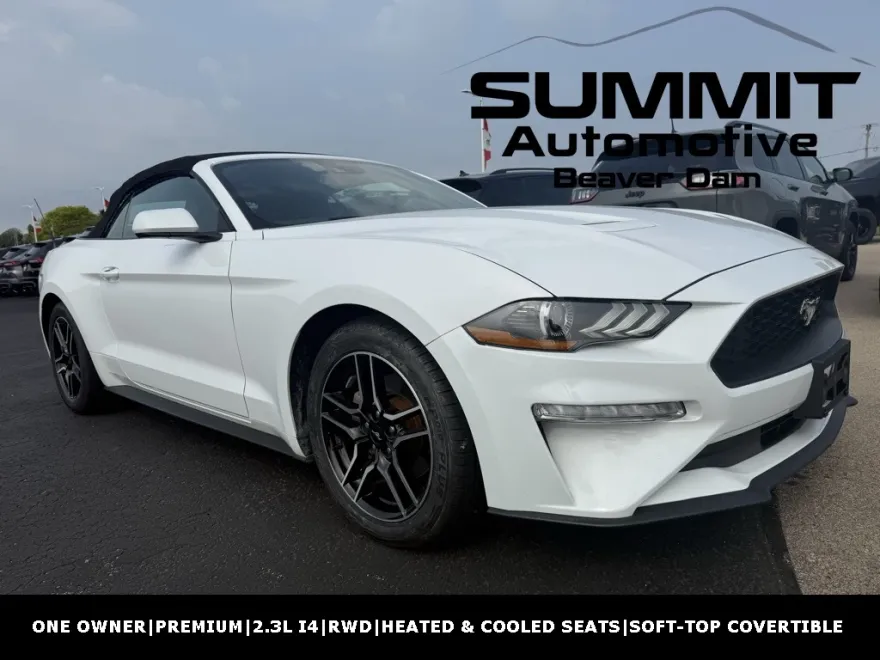 2023 Ford Mustang EcoBoost Premium photo 1