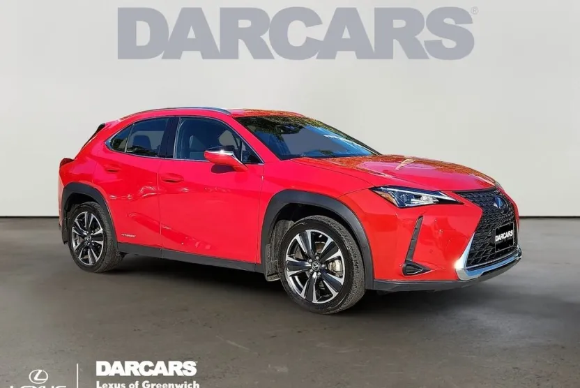 2021 Lexus UX 250h photo 1