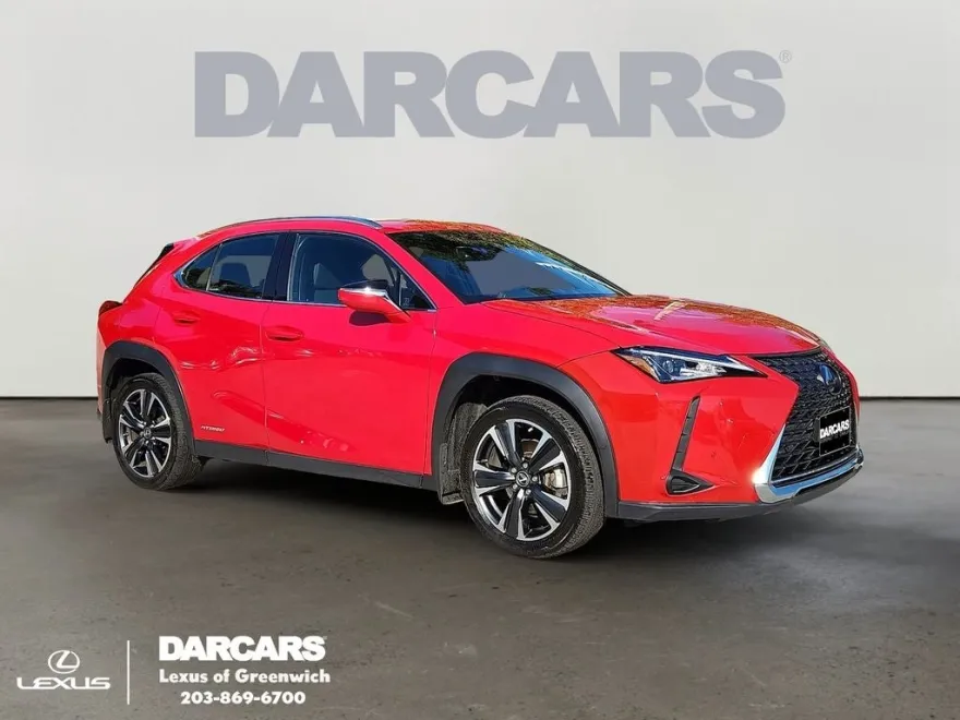 2021 Lexus UX 250h photo 1