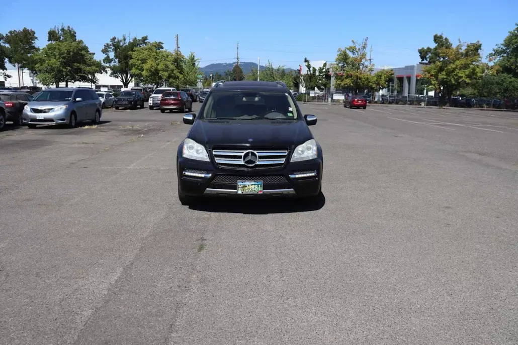 2010 Mercedes Benz GL 450 photo 1