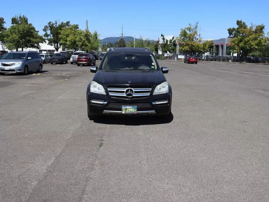2010 Mercedes Benz GL 450 photo 1
