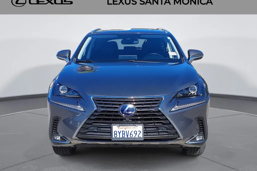 2021 Lexus NX 300h photo 1