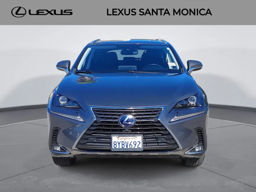 2021 Lexus NX 300h photo 1