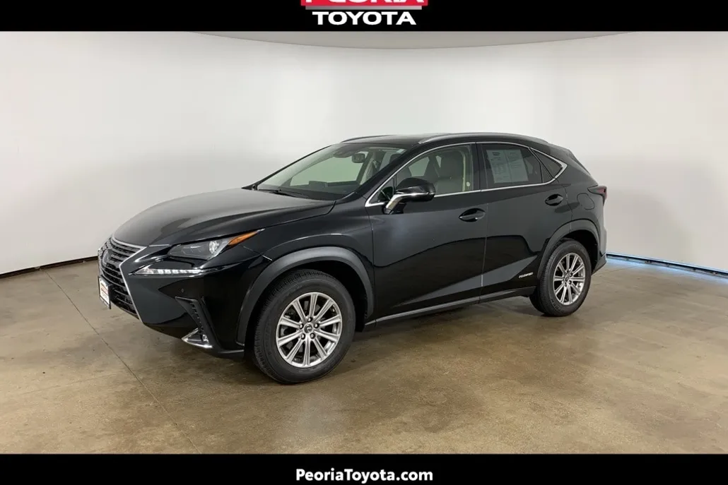 2021 Lexus NX 300h photo 1