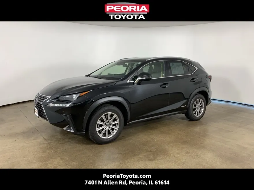 2021 Lexus NX 300h photo 1
