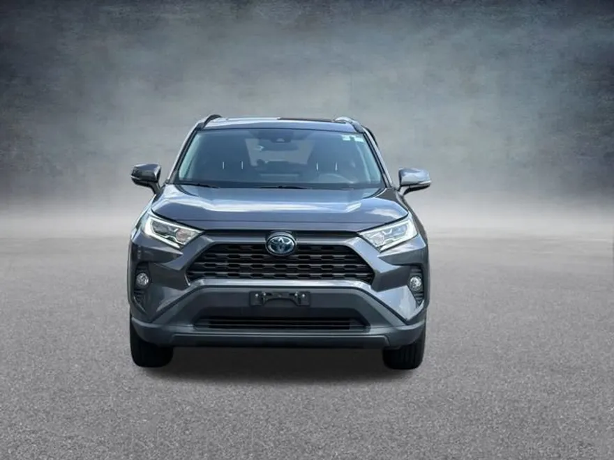 2019 Toyota RAV4 Hybrid XLE photo 1