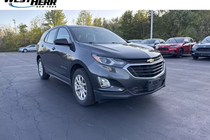 2020 Chevrolet Equinox LS photo 1