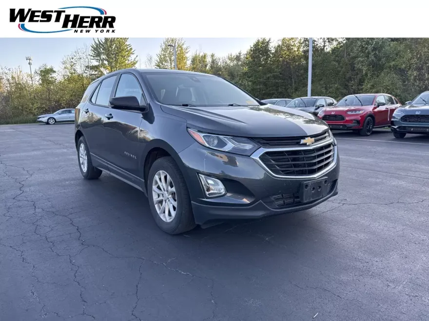 2020 Chevrolet Equinox LS photo 1