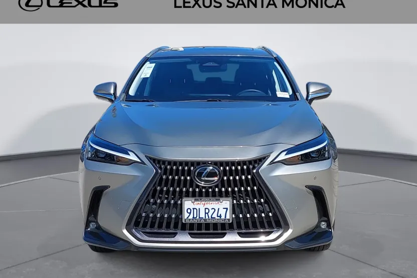 2022 Lexus NX 350 Premium photo 1