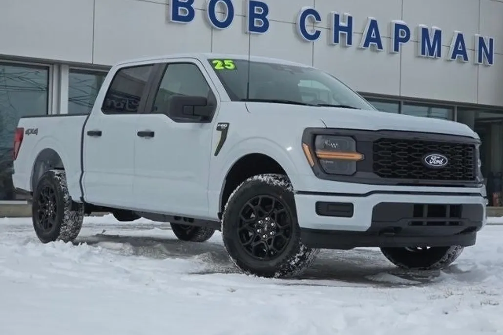 2025 Ford F-150 STX photo 1