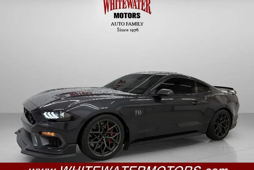 2022 Ford Mustang Mach 1 photo 1