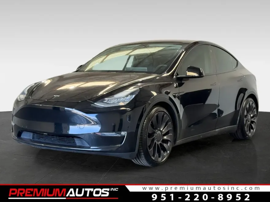 2020 Tesla Model Y photo 1
