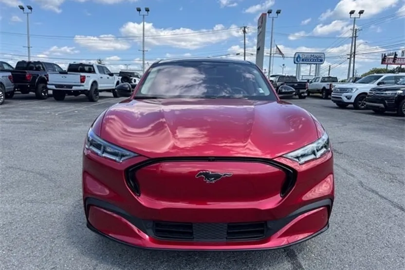 2021 Ford Mustang Mach-E Premium photo 1