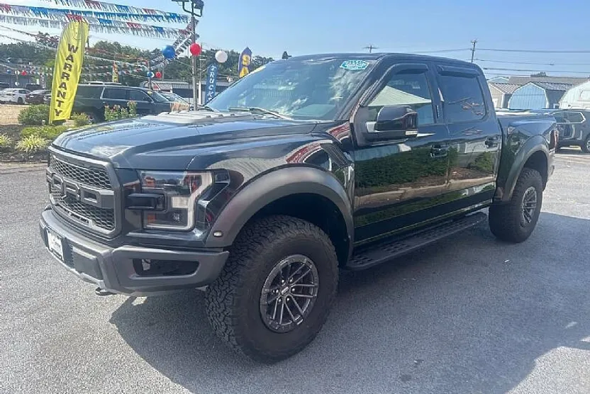 2019 Ford F-150 Raptor photo 1