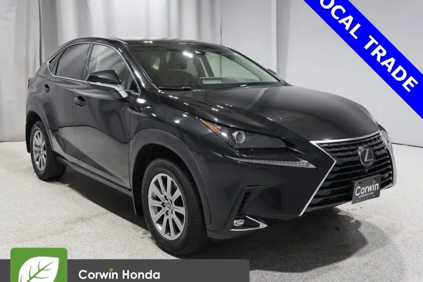 2018 Lexus NX 300 Luxury photo 1