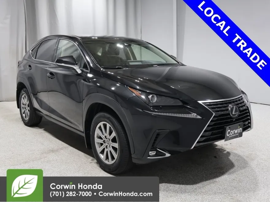 2018 Lexus NX 300 Luxury photo 1