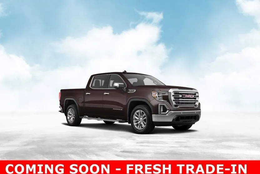 2020 Gmc Sierra 1500 Denali photo 1