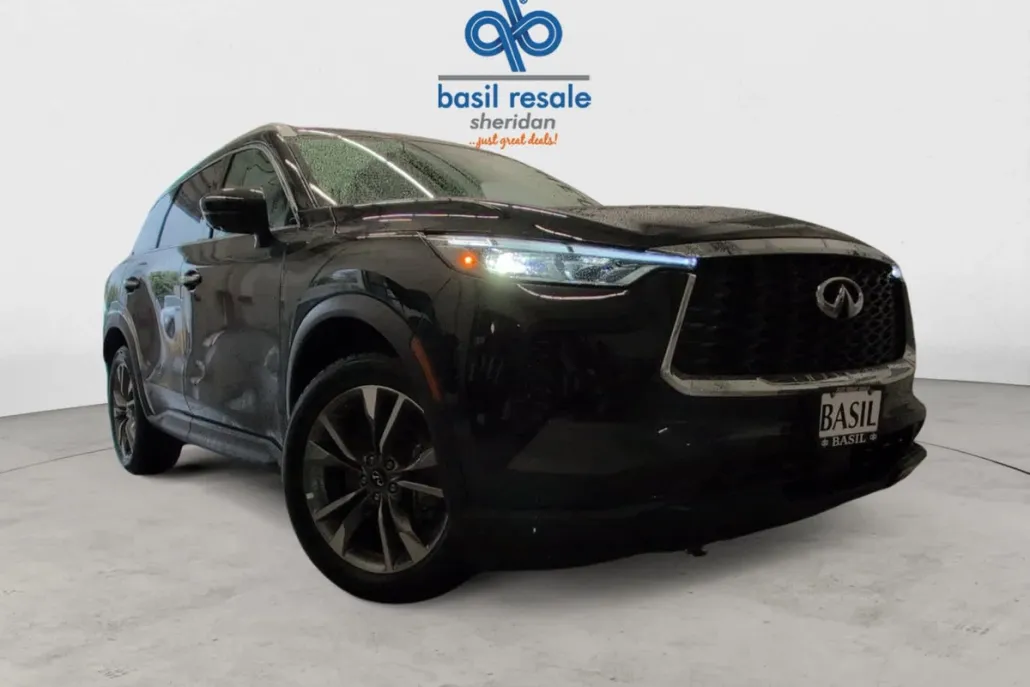 2025 Infiniti QX60 Luxe AWD photo 1
