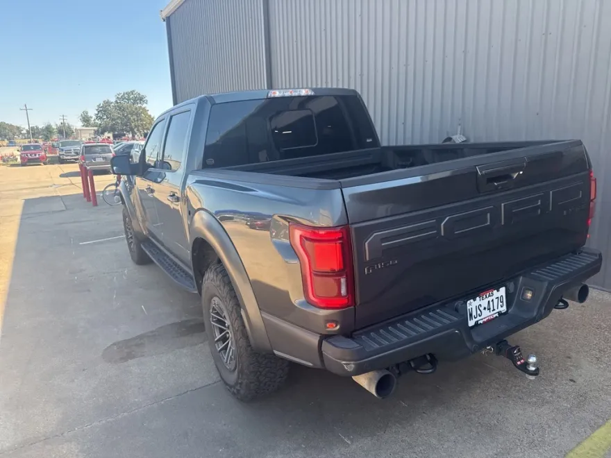 2019 Ford F-150 Raptor photo 1
