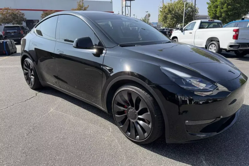 2023 Tesla Model Y Performance photo 1