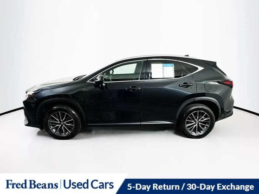 2022 Lexus NX 350h Premium photo 1