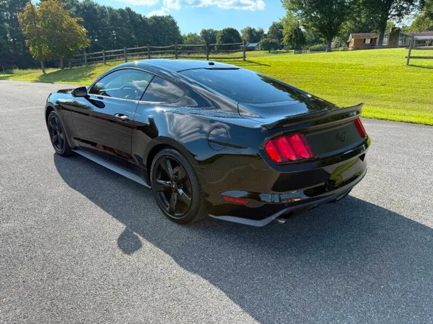 2015 Ford Mustang EcoBoost Premium photo 1