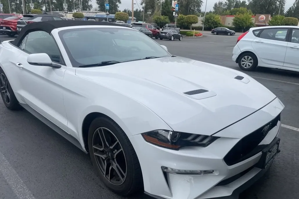 2019 Ford Mustang EcoBoost Premium photo 1