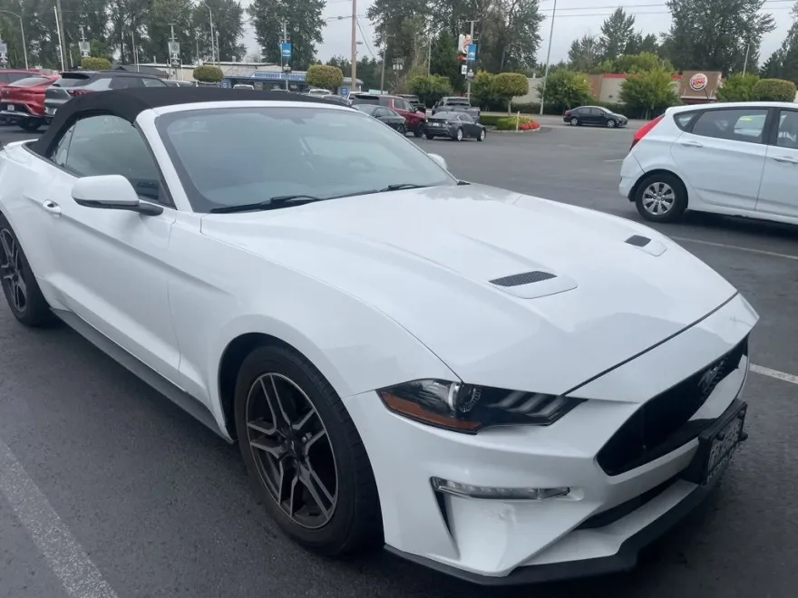 2019 Ford Mustang EcoBoost Premium photo 1