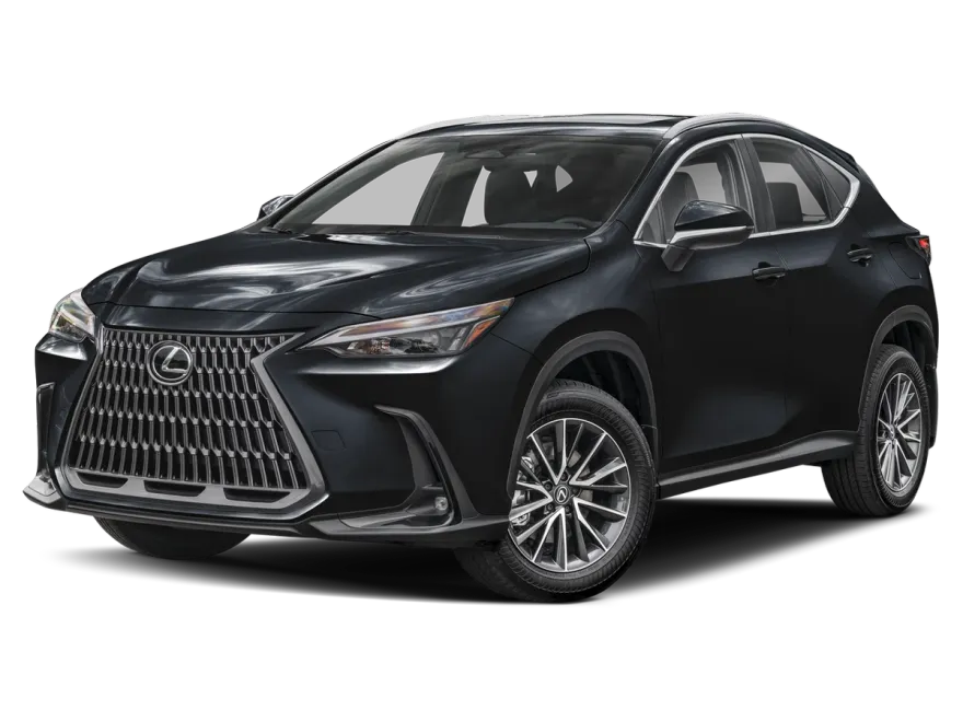 2025 Lexus NX 350h Premium photo 1