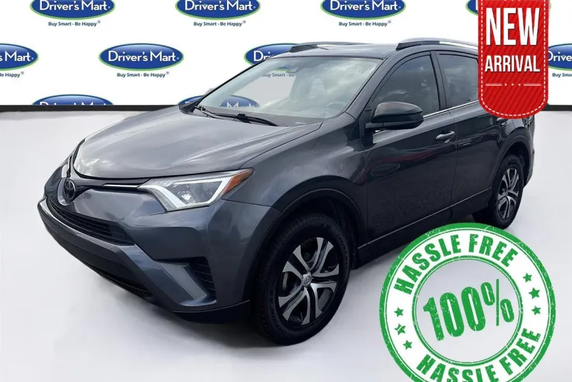 2018 Toyota RAV4 LE photo 1