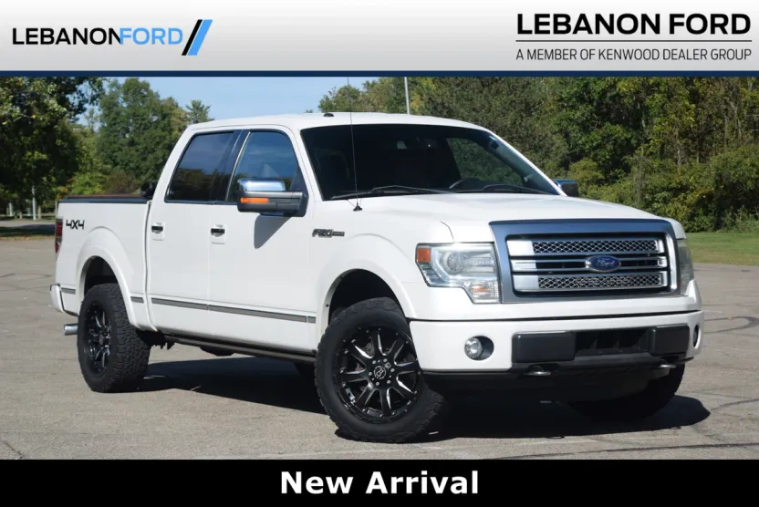2014 Ford F-150 Platinum photo 1