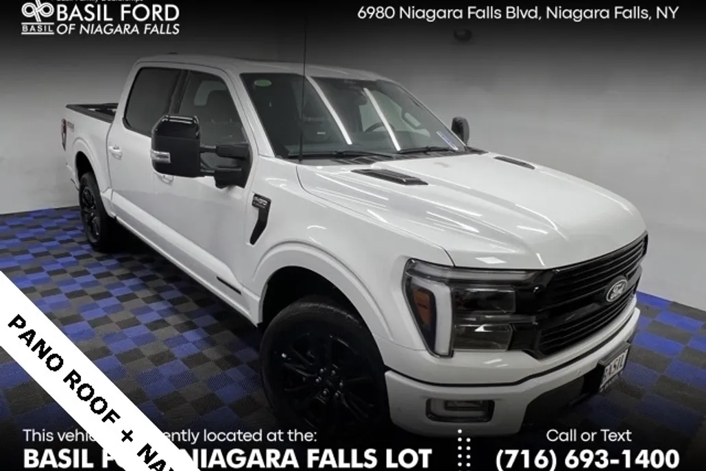 2025 Ford F-150 Platinum photo 1