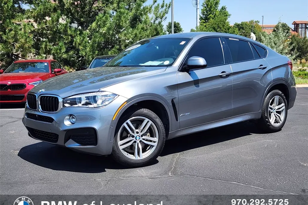 2018 Bmw X6 xDrive35i photo 1