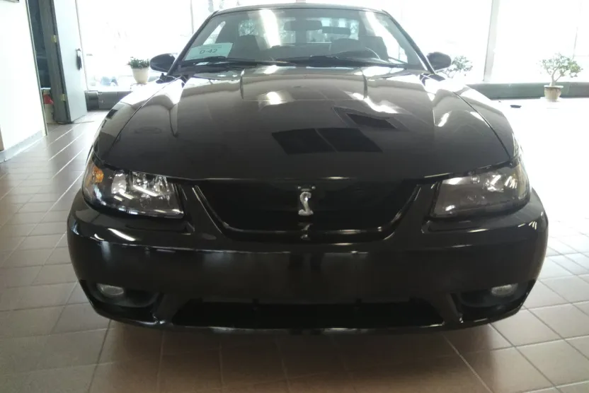 2001 Ford Mustang Cobra photo 1