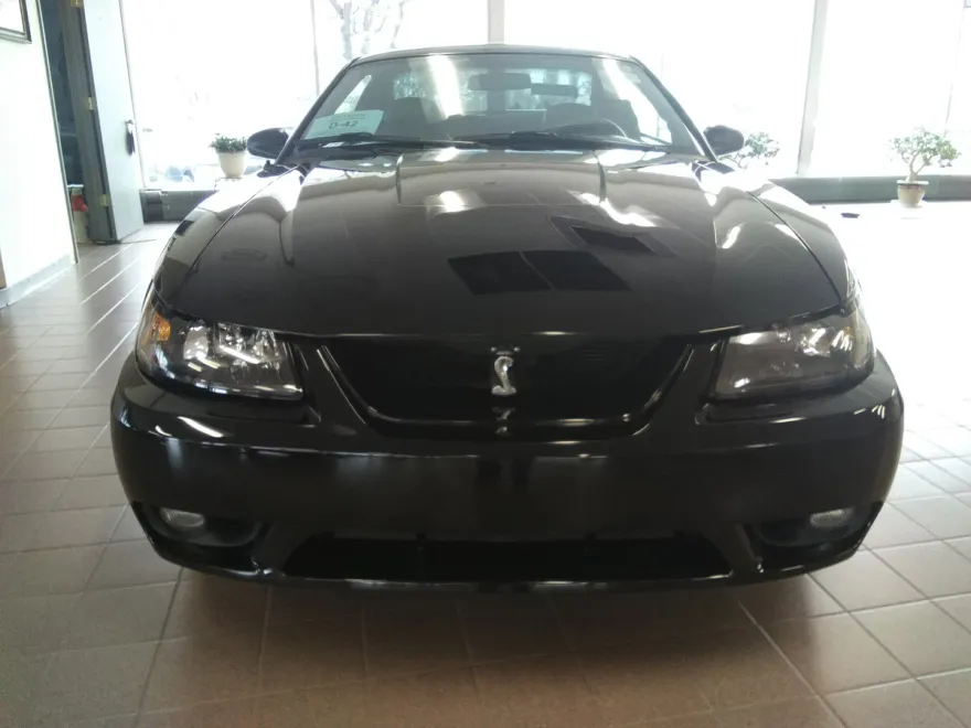 2001 Ford Mustang Cobra photo 1