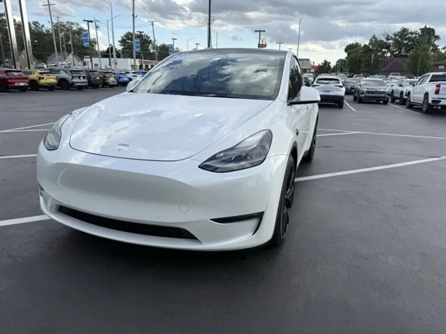 2021 Tesla Model Y Performance photo 1