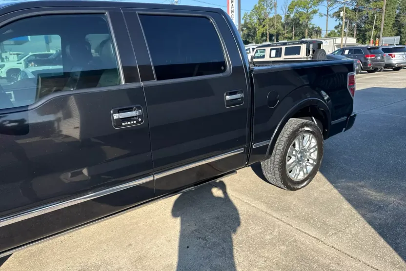2014 Ford F-150 Platinum photo 1