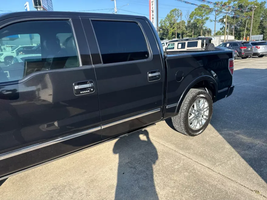 2014 Ford F-150 Platinum photo 1