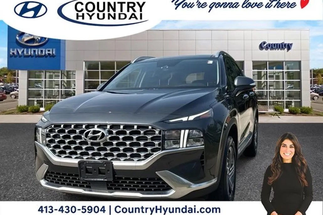 2021 Hyundai Santa Fe SEL Premium photo 1