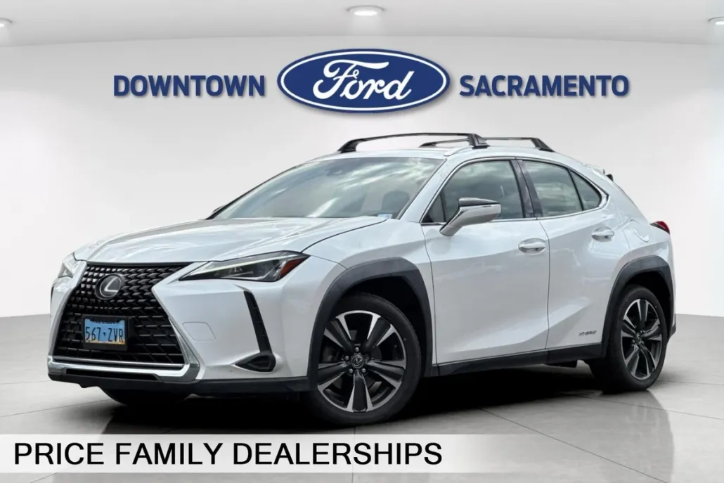 2019 Lexus UX 250h photo 1