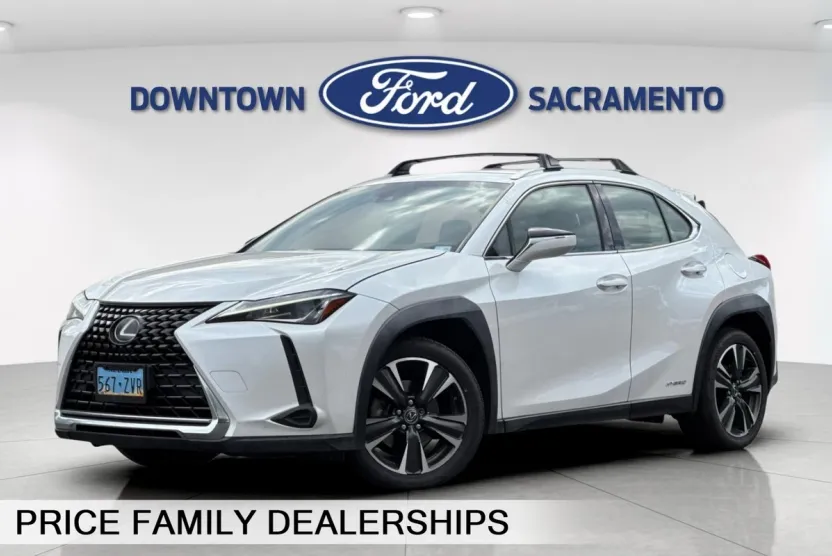 2019 Lexus UX 250h photo 1